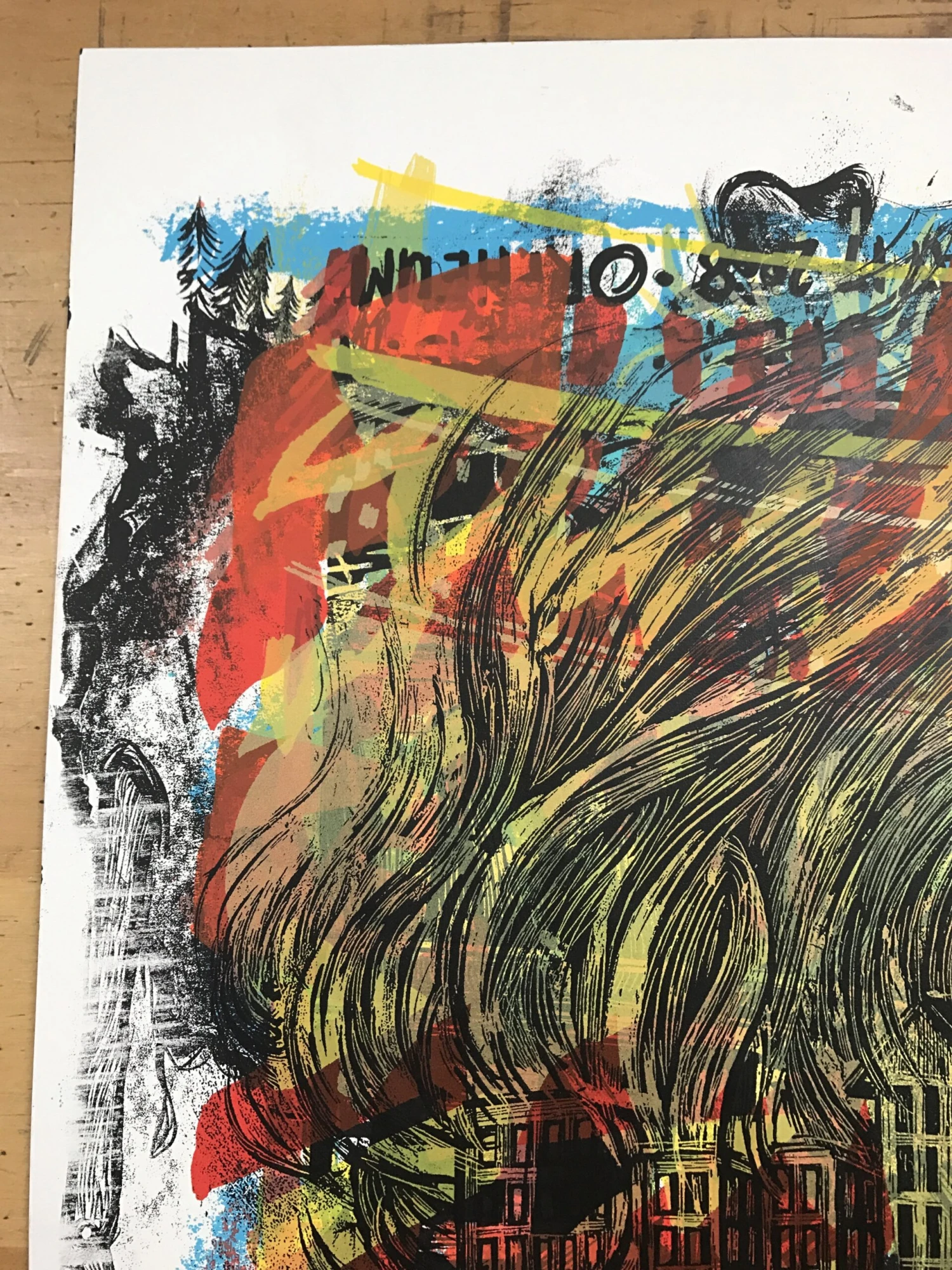 Phish - 2011 Dan Grzeca Poster Chicago, IL UIC TEST Print 5 Phish - 2011 Dan Grzeca Poster Chicago, IL UIC TEST Print - Image 3