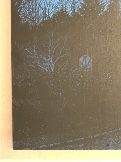 Breadcrumb Trail - 2017 Dan McCarthy WOOD Panel, Art Print Poster -Soldout Posters image 84322a60 afbc 4bc6 9bfd 7f3e9c5f84ee