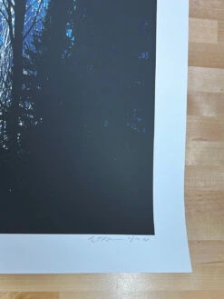 A Night In The Forest - 2010 Dan McCarthy Poster Art Print -Soldout Posters image 8849c744 54c1 4853 b7ab f44147202ea4