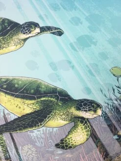 Biscayne National Park - 2016 Justin Santora Poster Art Print -Soldout Posters image 8862527a d9bf 4910 9fb0 20eeb10ba4bf