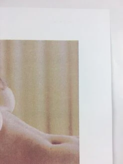 Untitled (Bear Boobs) - 2008 Mike Budai Poster Art Print -Soldout Posters image 8b85084d e996 493d 95f3 e81bb8c13b8d