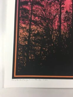 Big Birds Flying Across The Sky - 2011 Dan McCarthy Poster Art Print -Soldout Posters image 9cbc49eb b53e 41ec 9ee3 c2420551bf97