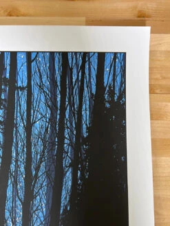 A Night In The Forest - 2010 Dan McCarthy Poster Art Print -Soldout Posters image 9fb5a261 a8e4 419f a5eb 5b929879dbe2