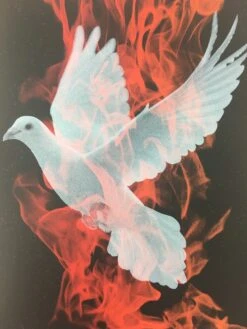 Birth Of A Phoenix #1 - 2010 Todd Slater Poster Art Print