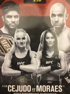 UFC 238 - 2019 Poster Cejudo Vs Moraes; Shevchenko Vs Eye