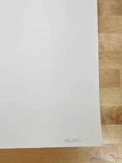 Bunny Truck - 2009 Mike Budai Poster Art Print 14/50 -Soldout Posters image aa5f5542 acae 4ee3 a99e 3ae84a515eb3