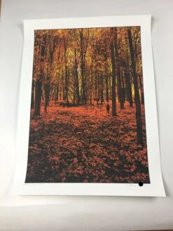 Elder Days - 2010 Dan McCarthy Poster Art Print -Soldout Posters image ab587cc5 746c 484d a036 0d4e864b4053