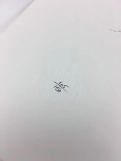 Super Season - 2008 Elph Poster Art Print POW -Soldout Posters image b652c6dd 0512 464c bf10 4ca43c446cad