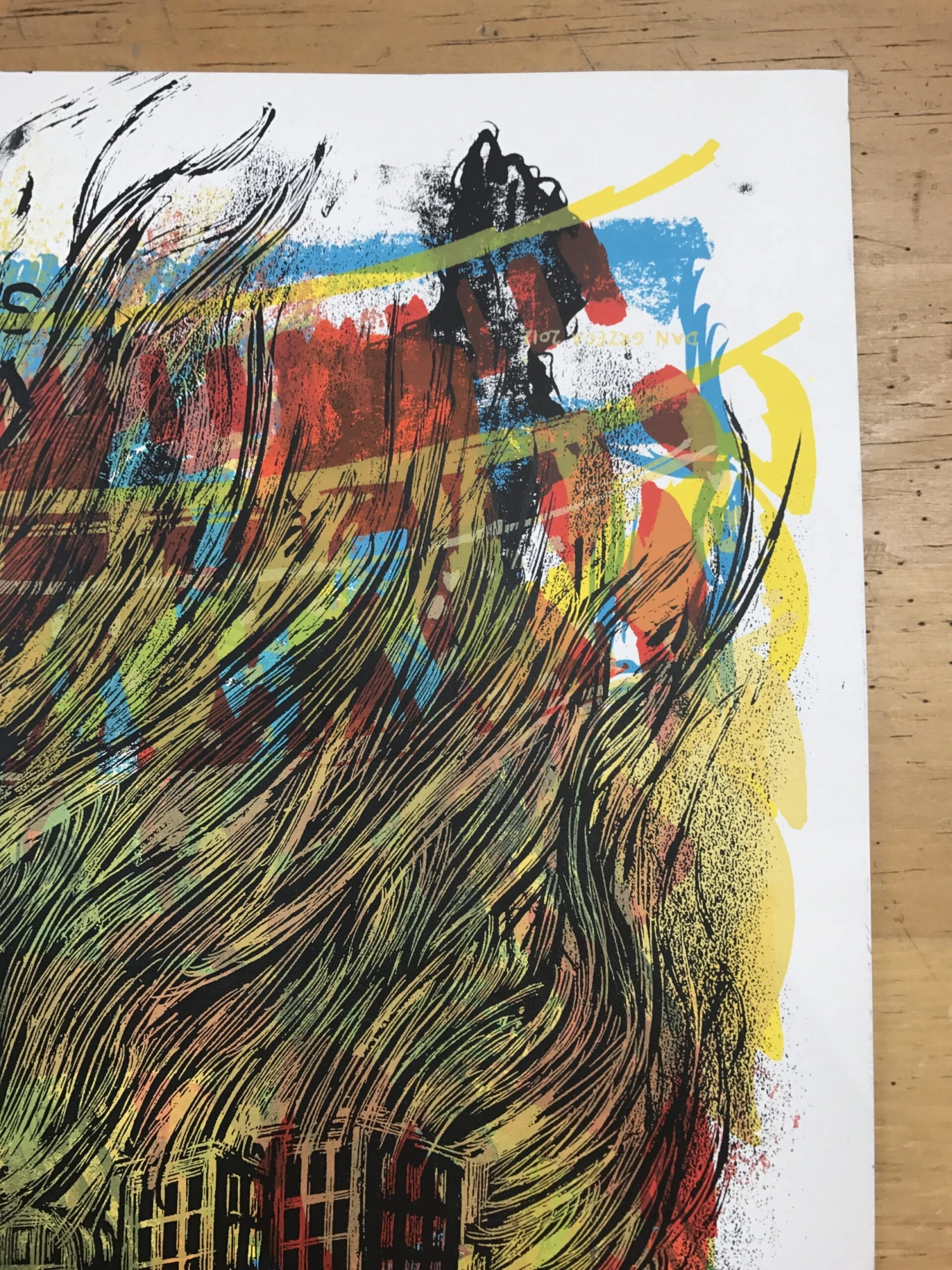 Phish - 2011 Dan Grzeca Poster Chicago, IL UIC TEST Print 6 Phish - 2011 Dan Grzeca Poster Chicago, IL UIC TEST Print - Image 4