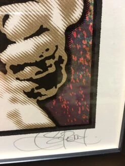 The Who - 2016 Chuck Sperry Poster Roger Daltry 50th Anniversary Tour FRAMED -Soldout Posters image bea010d5 c874 4110 b40e e30cbaf10322