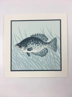 Black Crappie (Pomoxis Nigromaculatus) - 2015 Justin Santora Poster Art Print -Soldout Posters image beffbeec 9b0a 46cc 9d04 4b32cb5ca416
