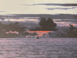 Red Sky In The Morning - 2011 Dan McCarthy Poster Art Print -Soldout Posters image c20744fa 8d4d 438f a1d3 aec19b71bb8c