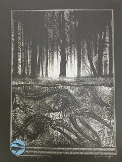 Megaptera Novaeangliae - 2014 Dan McCarthy Poster Art Print