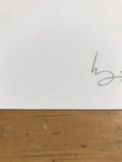 Fat Bird - 2017 Mike Mitchell Poster Himalayan Bulbul -Soldout Posters image c8d6d7f4 ffd9 4639 81e9 179f7b926b46