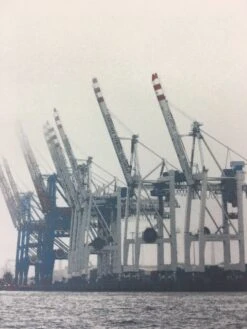 Cranes - 2011 Dan MacAdam Crosshair Poster Art Print -Soldout Posters image cc1627a1 e5b5 41ce 95b6 84af3cfc21dc