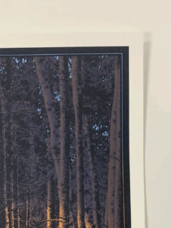 It's Good To Warm My Bones Beside The Fire - 2011 Dan McCarthy Poster Art Print -Soldout Posters image cd417de4 5af4 45a5 aa7c 57b7345f04f9