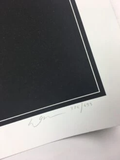 The Darkness - 2011 Dan McCarthy Poster Art Print 1st -Soldout Posters image cfc3d37a 362b 4401 8a8b 0183a3ee6c25