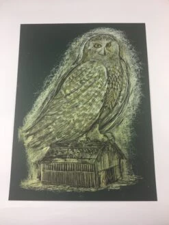 Reconstructed Snowy Owl - Dan Grzeca Poster Art Print -Soldout Posters image d244cda2 0c33 4bc1 9de8 418e8763dd7e