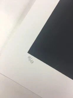 Untitled (Psych Drac) - 2008 Mike Budai Poster Art Print -Soldout Posters image d2c4cfbe 8140 4dda b541 9a94fce16b36