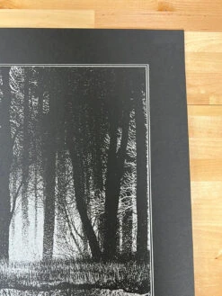 Megaptera Novaeangliae - 2014 Dan McCarthy Poster Art Print -Soldout Posters image d5283dba 8d14 48ee bf65 378a39f28e6e