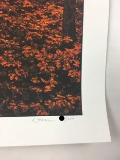 Elder Days - 2010 Dan McCarthy Poster Art Print -Soldout Posters image d5d6606c e4fd 4e27 89ed e9051cc67786