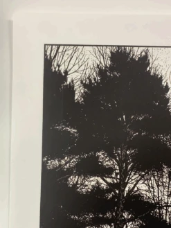 What Once Was 2 - 2010 Dan McCarthy Poster Art Print -Soldout Posters image dac306af 5fa7 4f3b b1de 673cc39eb8f2