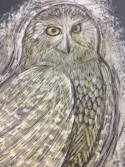 Reconstructed Snowy Owl - Dan Grzeca Poster Art Print -Soldout Posters image dddd2b16 c2f4 4e83 9d96 4bdae6690c40