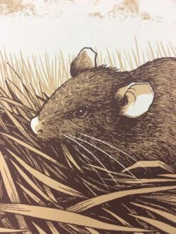 Brown Rat (Rattus Norvegicus) - 2015 Justin Santora Poster Art Print -Soldout Posters image ebc67ebf 987e 43ad a9ba 5e62645a4503