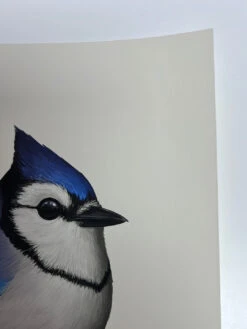 Fat Bird - 2022 Mike Mitchell Poster Blue Jay II -Soldout Posters image f15d0c36 fd46 41ce a052 252f5f7b5031