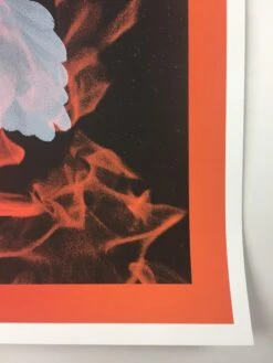 Birth Of A Phoenix #1 - 2010 Todd Slater Poster Art Print -Soldout Posters image fc17cd9c 235a 45b1 8691 dcb03940e7e1