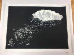 The Darkness - 2011 Dan McCarthy Poster Art Print 1st -Soldout Posters image grande 04da11e0 077b 4d4e 87be 645c414e7e98