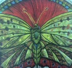 Wooden Resurrection Butterfly - 2013 Dan Grzeca Poster Art Print -Soldout Posters image grande 769b5703 7353 4729 8183 36a50dd08362