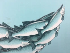 Salmon Run - 2015 Justin Santora Poster Art Print -Soldout Posters image grande a89e7680 baa4 4ce9 ac9f d10135f7a6a2